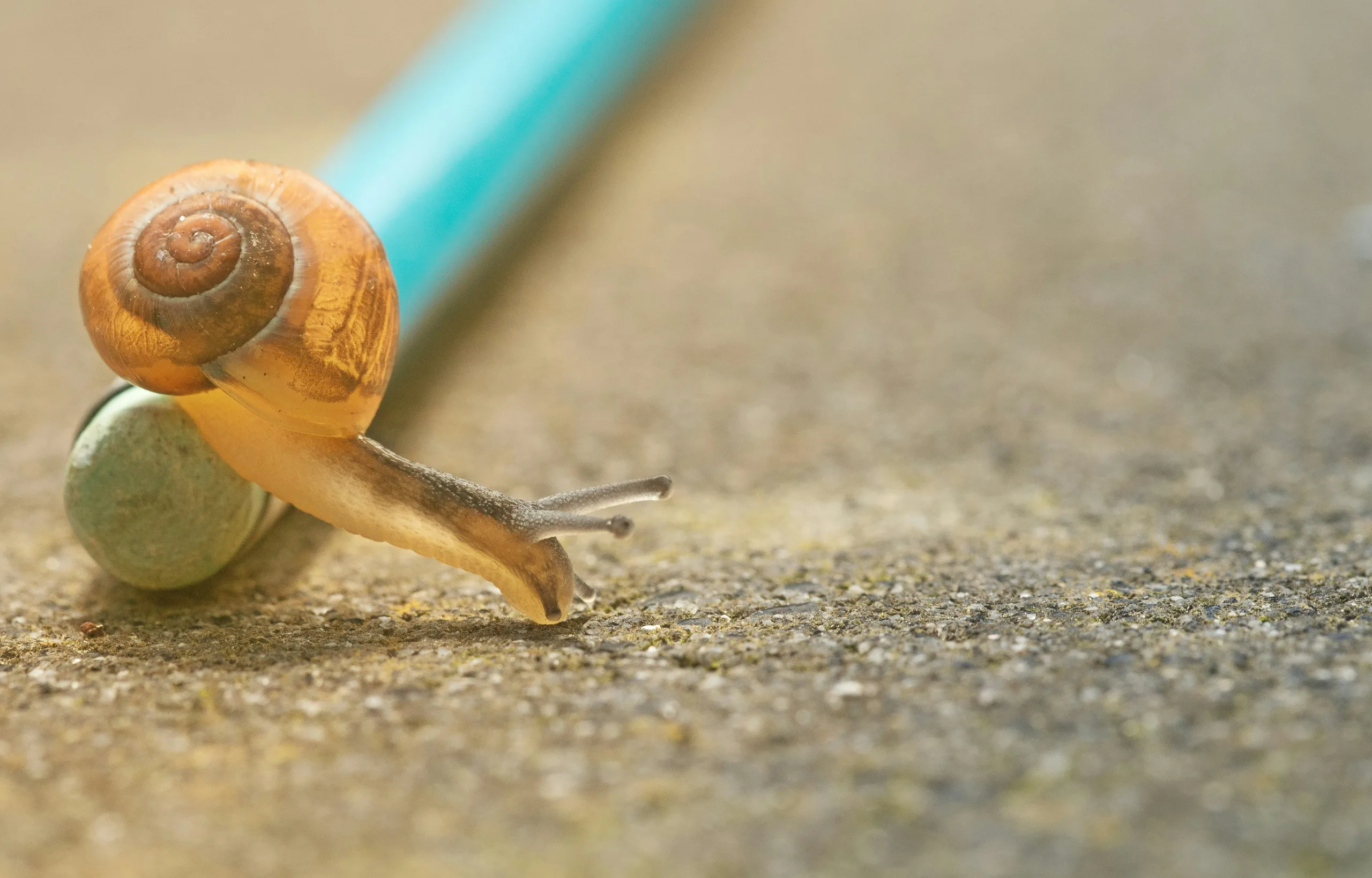pascal-van-de-vendel-J3pkJFnpDkM-unsplash.webp